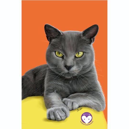 PROMO RAINBOW REM_FEB13_Truffle_3